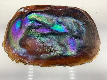 Tiffany Favrile Glass Turtle Back Blue/Red Tile