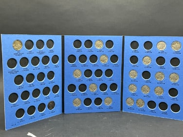 Nineteen (19) U.S. Buffalo Nickels