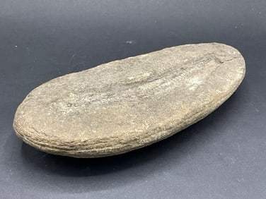 Natural Rock Fossil Specimen
