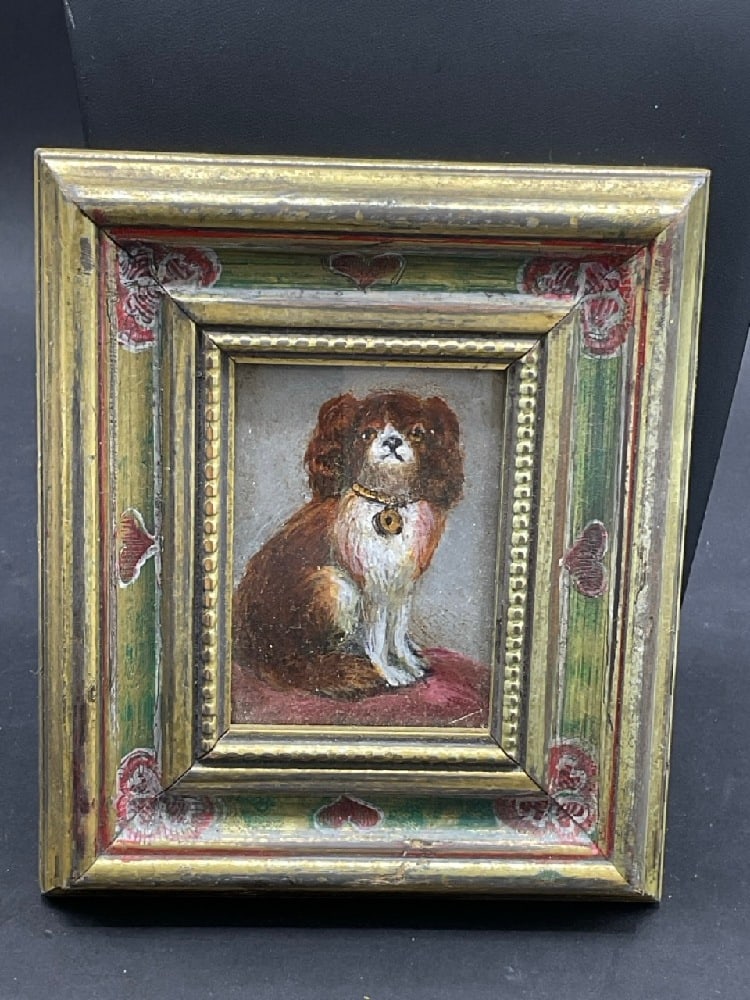 Miniature Dog Portrait (1 of 3)