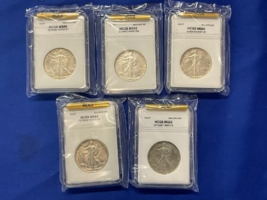 (5) Uncirculated Silver Walking Liberty Half Dollars