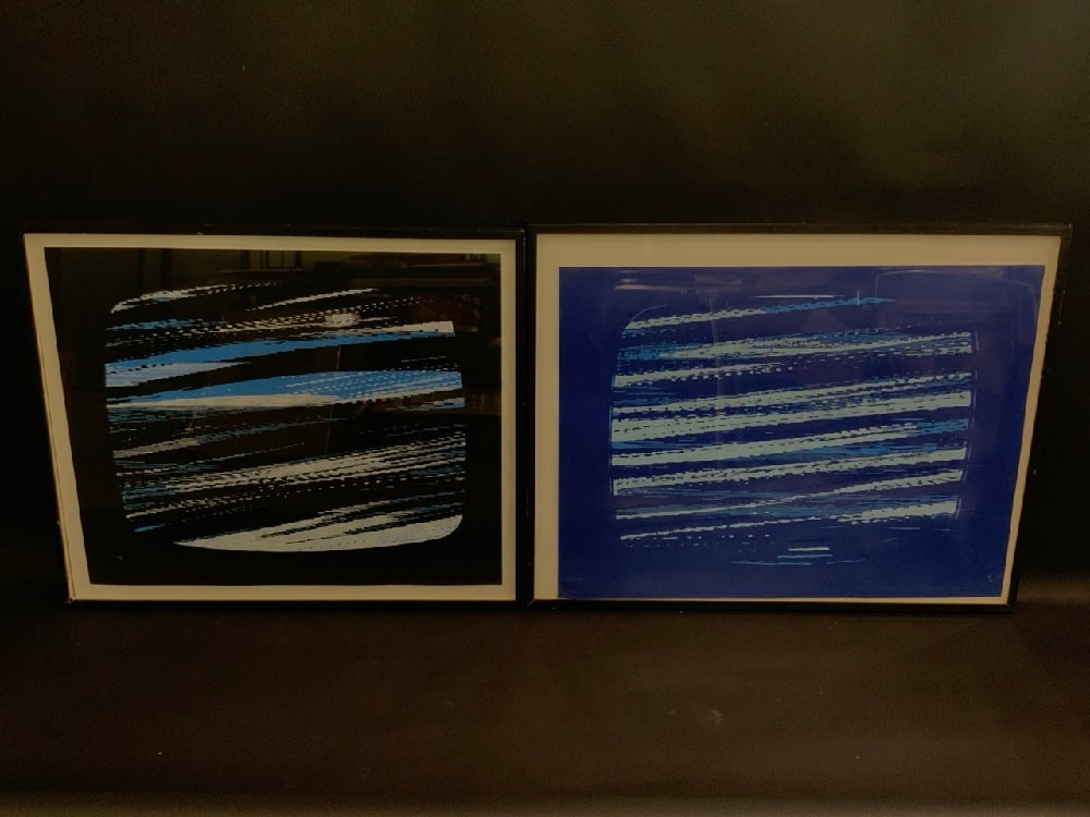 Justen Ladda Television Static Abstract Paintings: Justen Ladda Television Static Abstract Paintings.One painting has minor damage to frame and one has crack on glassDimensions:Black: Frame: 34 1/2” x 28 1/2” Art: 30 1/2” x 25”