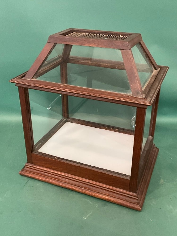 Vintage Butterfly House or Display (1 of 5)