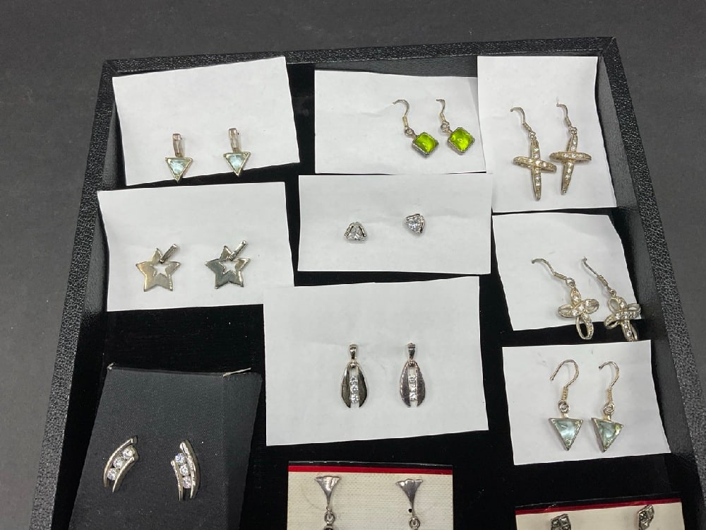 Compiled Large Group, Sterling Silver Earrings - 2