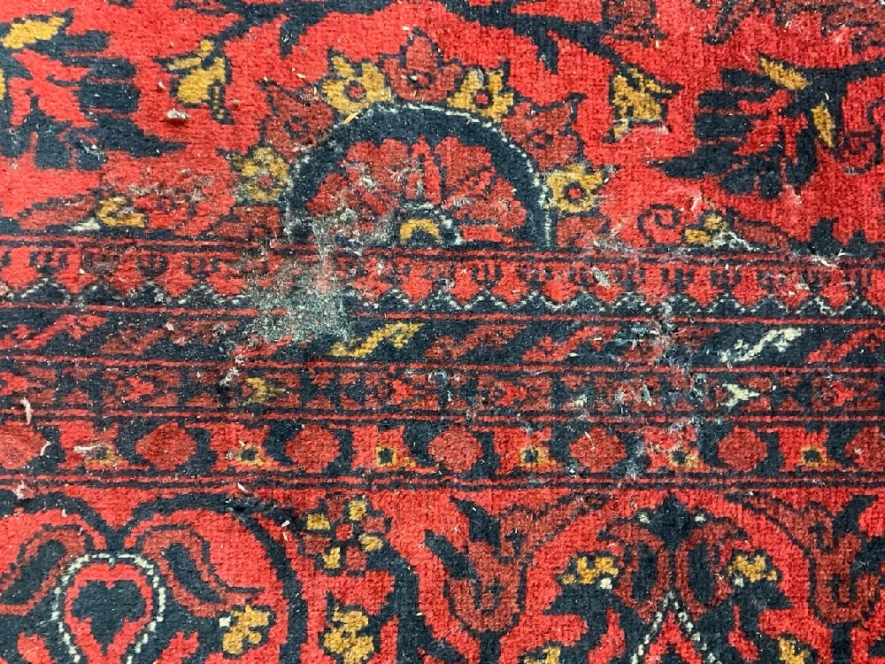 Persian Rug - 6