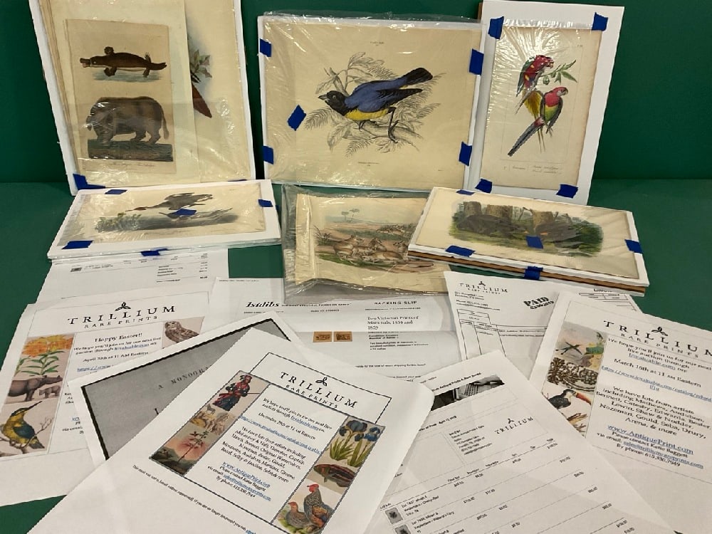 Collector's Hoard of Online Auction Print Purchases. Trillium and 1st Dibs. Please see paperwork for: Collector's Hoard of Online Auction Print Purchases. Trillium and 1st Dibs. Please see paperwork for details.