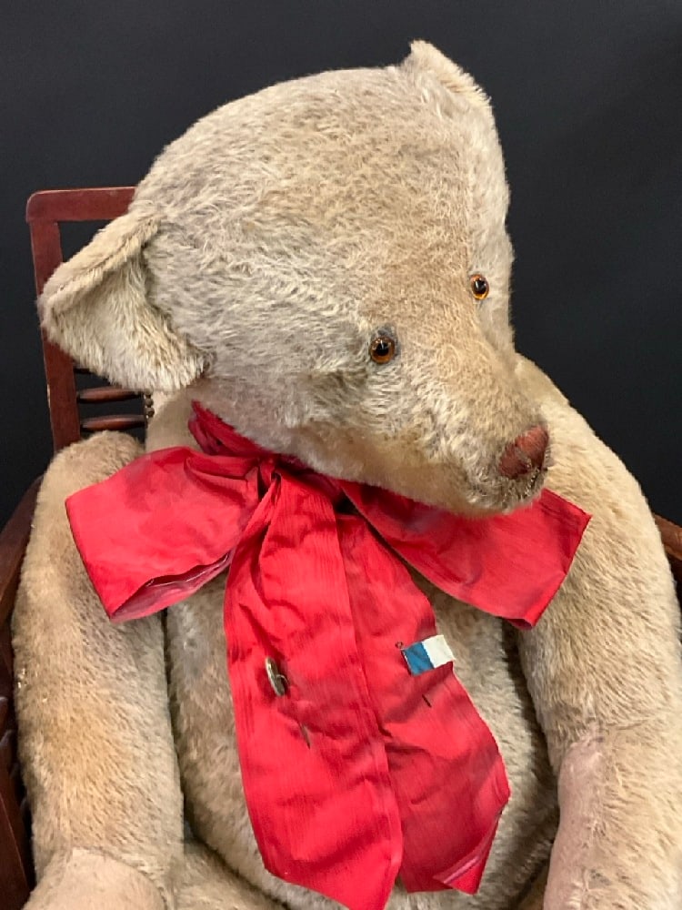 39" Early 1900's Wagner's Teddy Bear Bread Store Display - 3