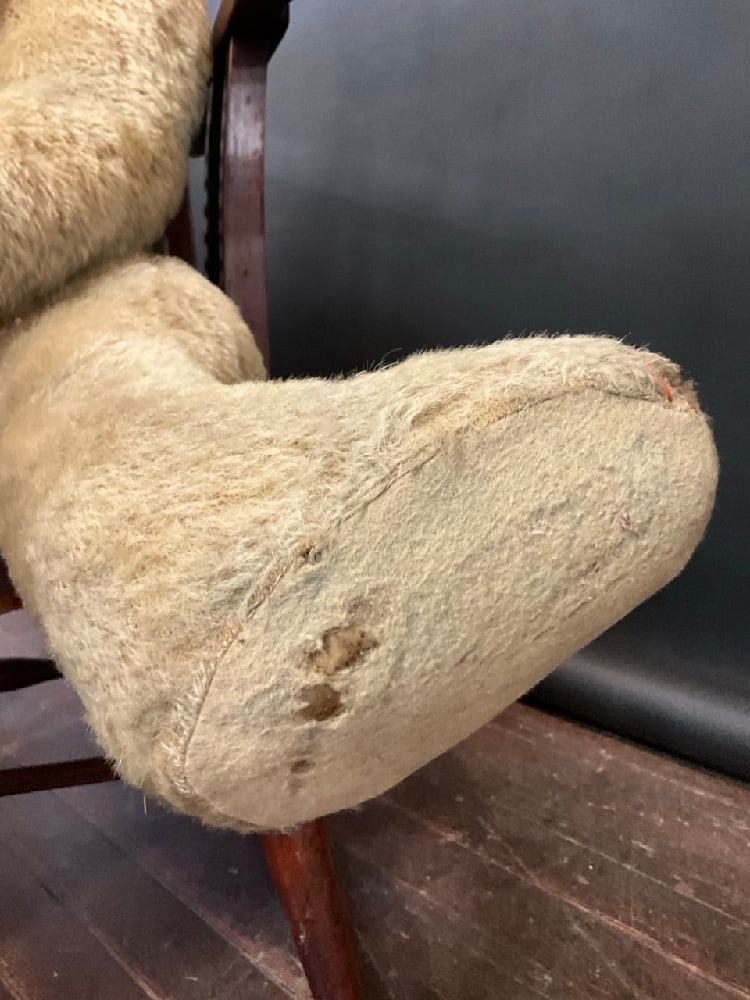 39" Early 1900's Wagner's Teddy Bear Bread Store Display - 5