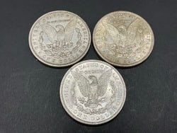 Three (3) U.S. Morgan Silver Dollars - 2