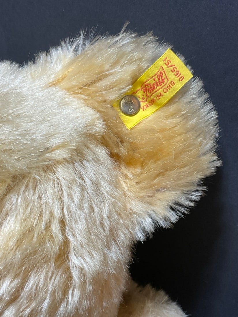 20" German Steiff Teddy Bear - 4