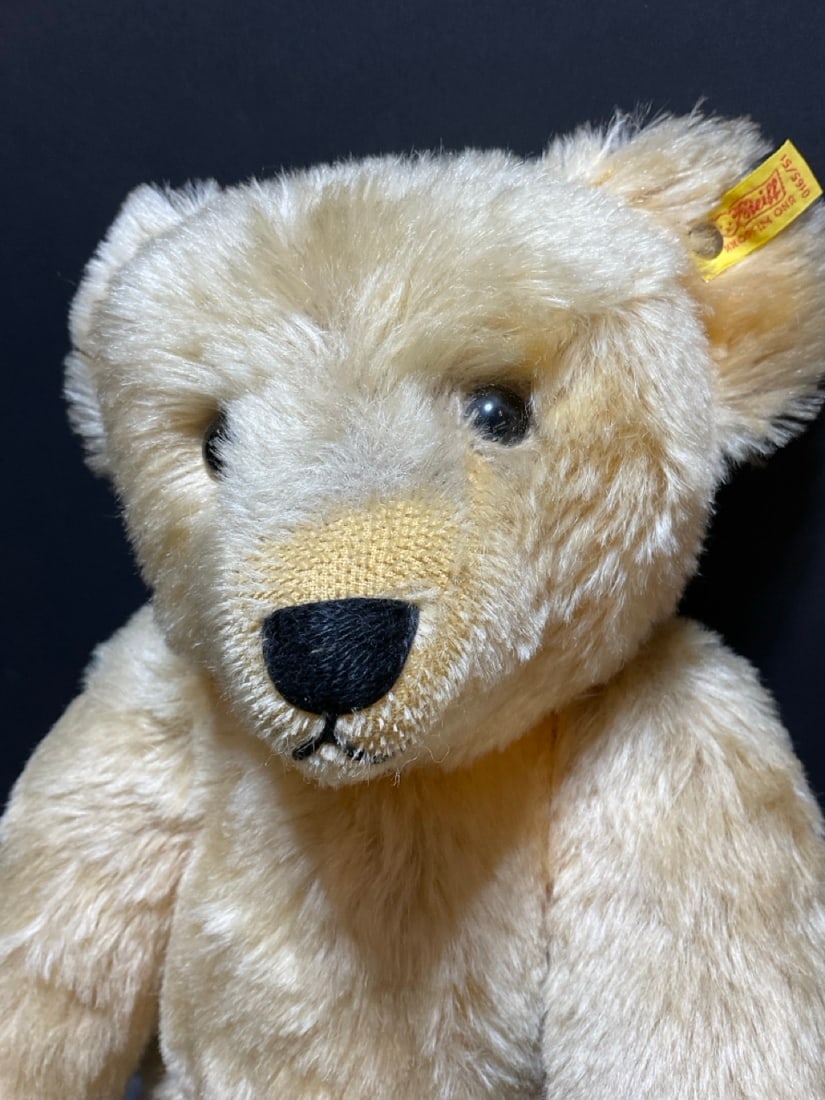 20" German Steiff Teddy Bear - 5