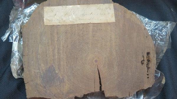 Wood Slab From Stockade at  Andersonville Prison C.S.A. (1 of 3)