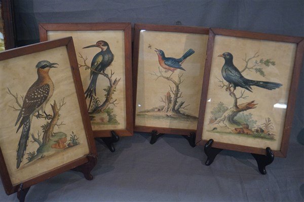 George Edwards (1694-1773) Hand Colored Bird Plates (1 of 9)