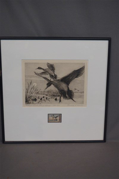 1962-1963 Edward Morris Federal Duck Stamp and Print (1 of 5)