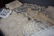 Compiled Grouping Estate Linens - 3