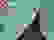 item-50185405=5