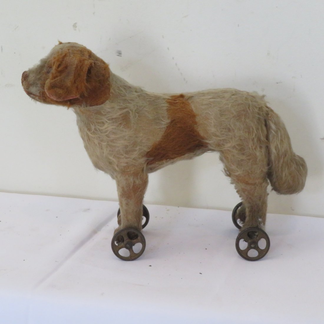Dog on iron wheels (1 of 5)