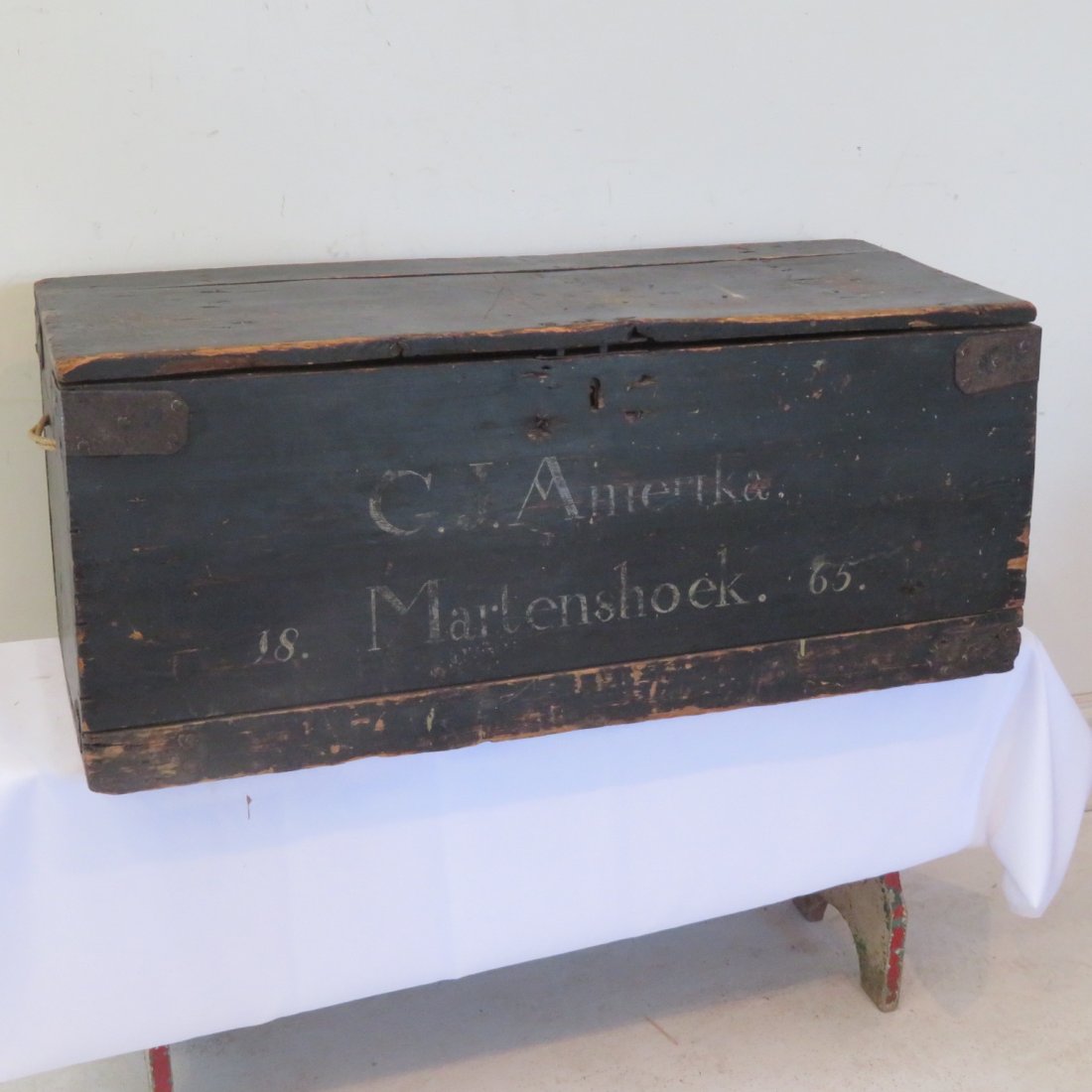 Early pine immigrant (1 of 7)