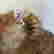 item-107782882=3