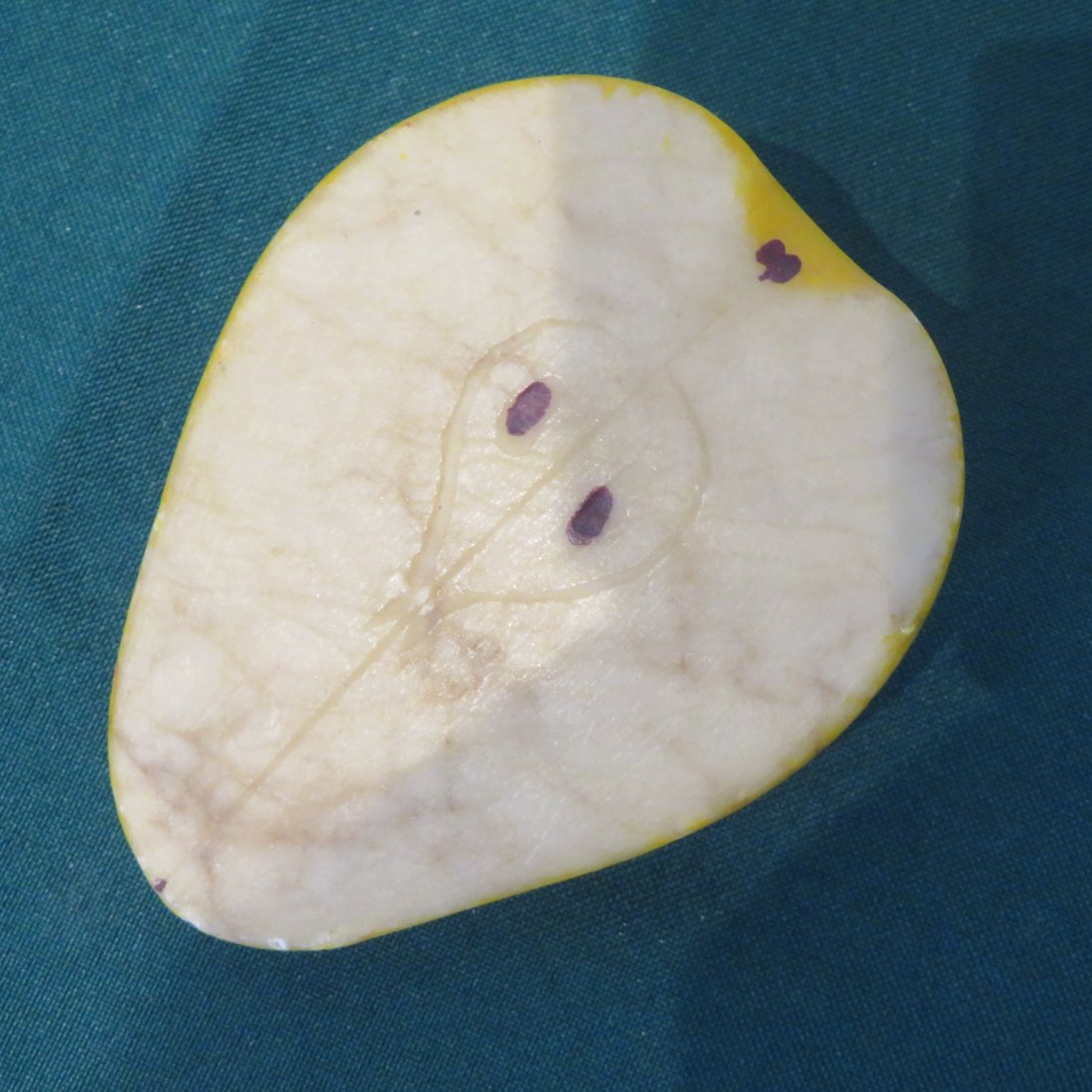 Sliced stone fruit pear (1 of 2)
