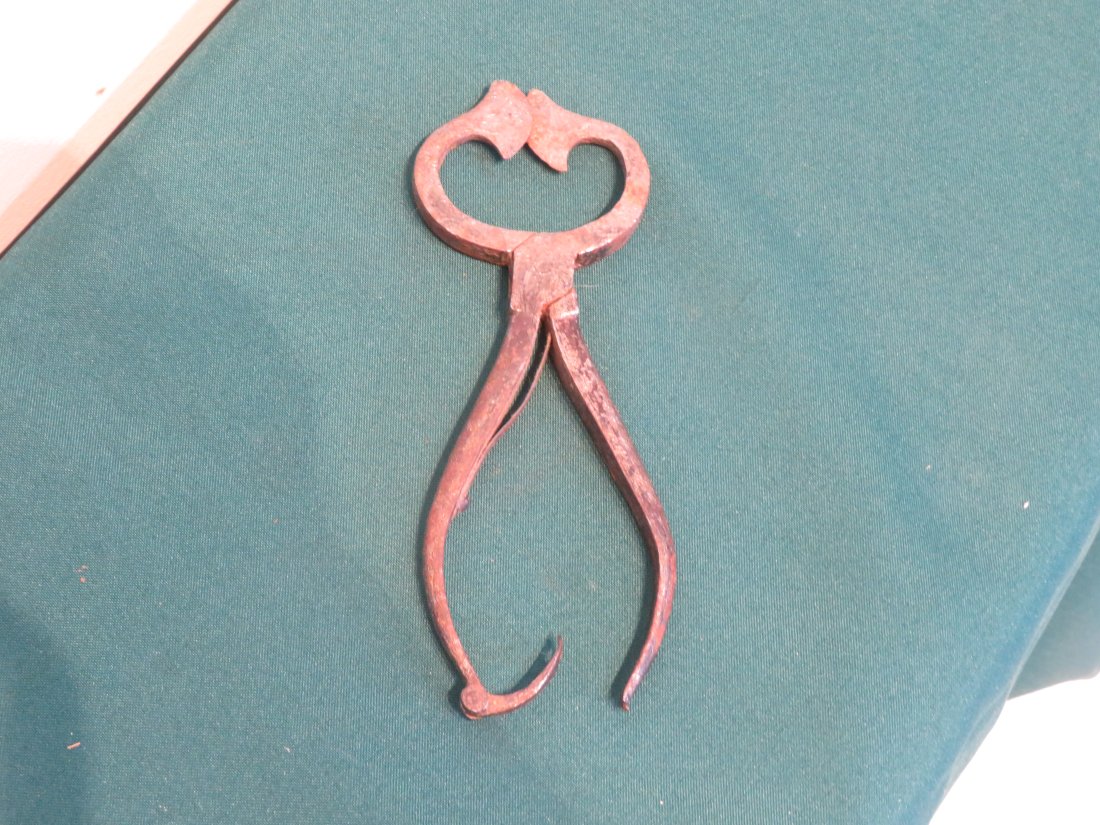 Pair of early sugar nippers: Pair of early sugar nippers, 7.5"L