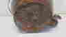 item-136396197=5