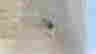 item-136566221=7