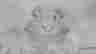 item-136772601=5