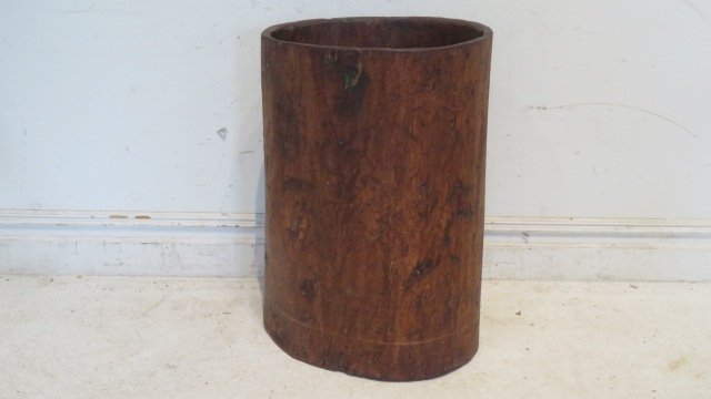 Large wood hornbeam (1 of 4)