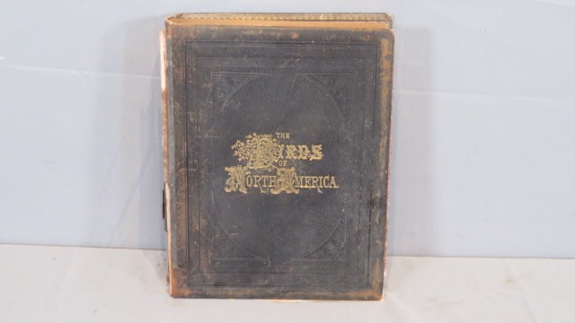1888 leatherbound book "Birds of North America" (1 of 7)