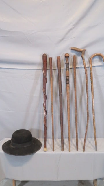 Amish hat and 7 walking sticks & canes (1 of 8)