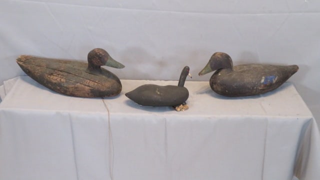 3 wood duck decoys: 3 wood duck decoys, including a coot, a blue-winged teel, and another larger one with glass eyes 16"L, all have lead weights on bottom, old working paint on all