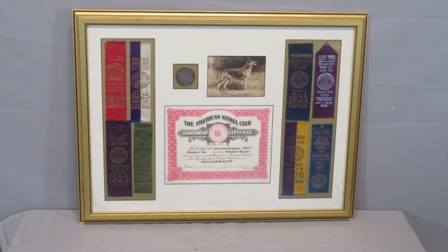 1920's framed AKC awards for German Shepherd: 1920's framed American Kennel Club awards for German Shepherd dog owned by Schulzlust Kennel, overall 24" x 29"