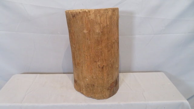 Small wood hornbeam (1 of 7)