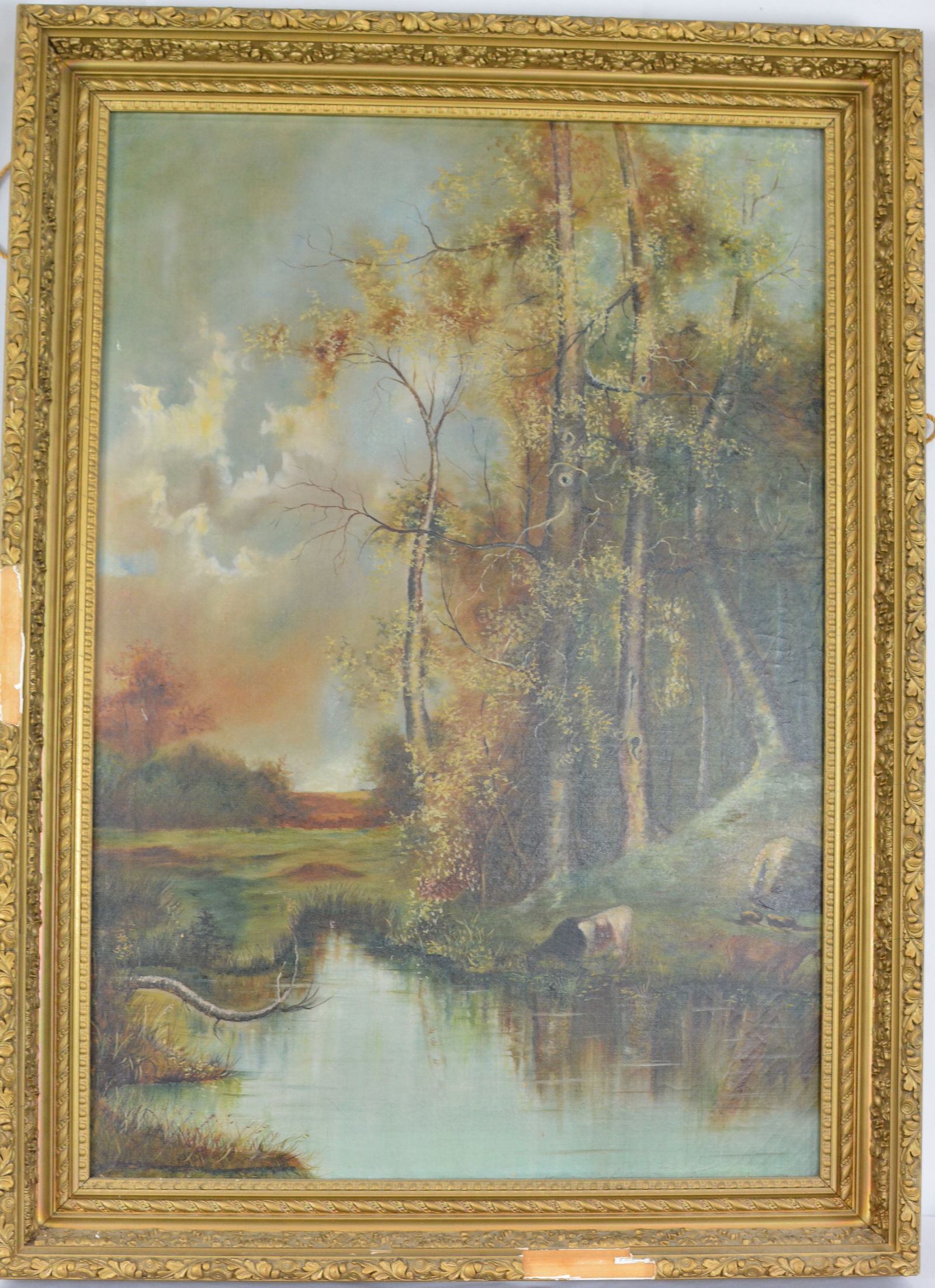 Oil on Canvas of Cows in the Stream, painted in early 1900's, unsigned, gilded frame has damage,: Oil on Canvas of Cows in the Stream, painted in early 1900's, unsigned, gilded frame has damage, 26"x36"