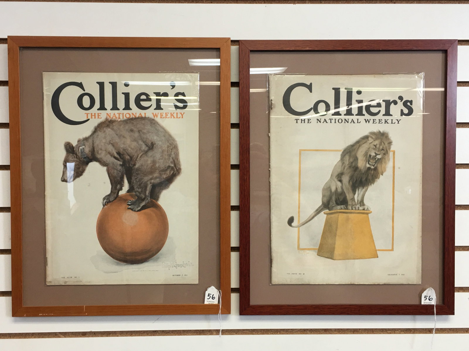 Early Collier's Magazines, Circus Bear & Lion Covers: Early Collier's The National Weekly Magazine, Circus Bear & Lion Covers. Featuring artwork by Philip R. Goodwin. Dated October 7, 1911 & December 7, 1912. Not examined out of frames. Frame size