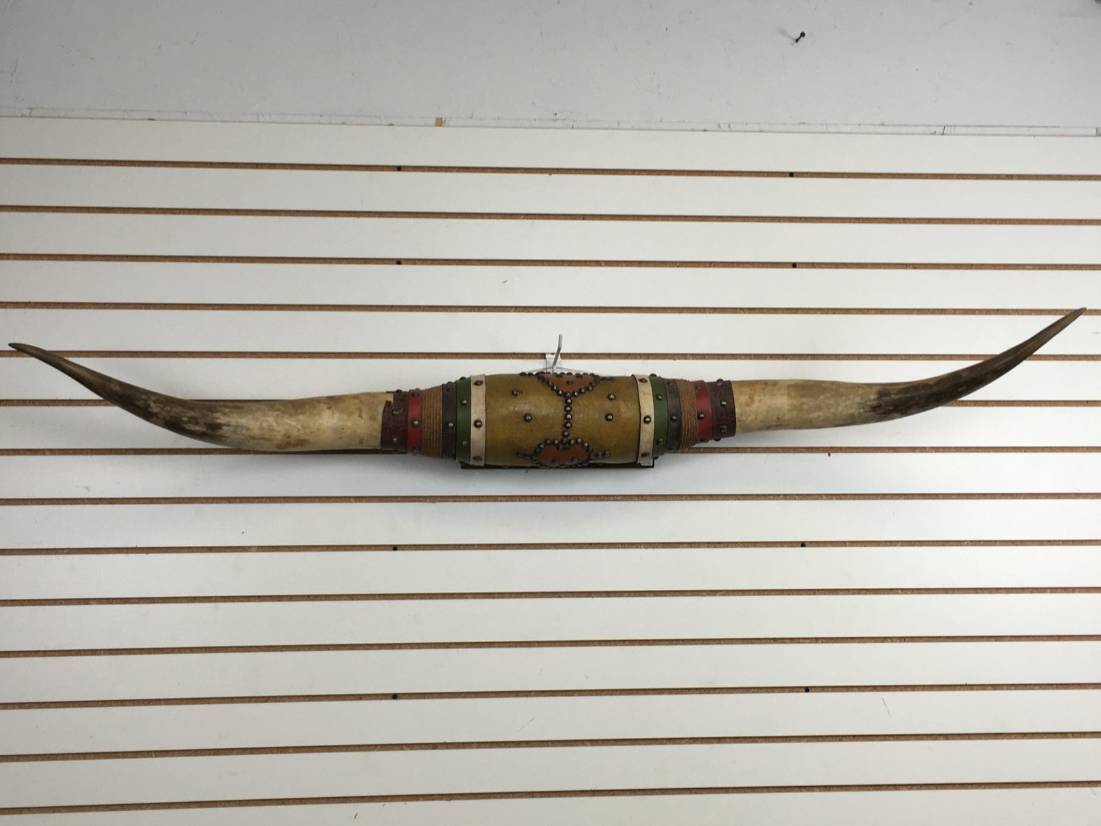 Longhorn Steer Horn Mount (1 of 7)