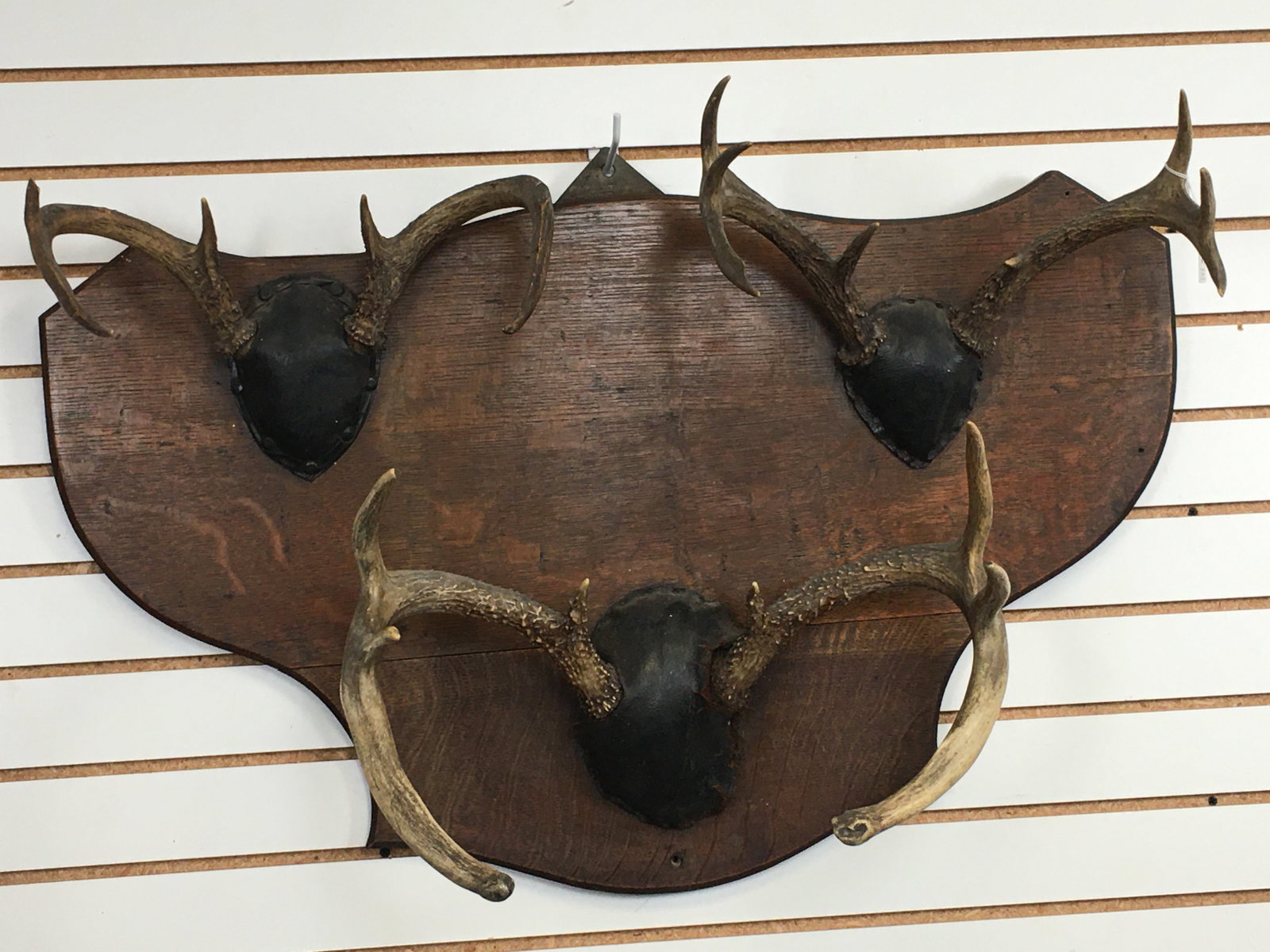 Deer Antler Mount Hat Rack (1 of 7)