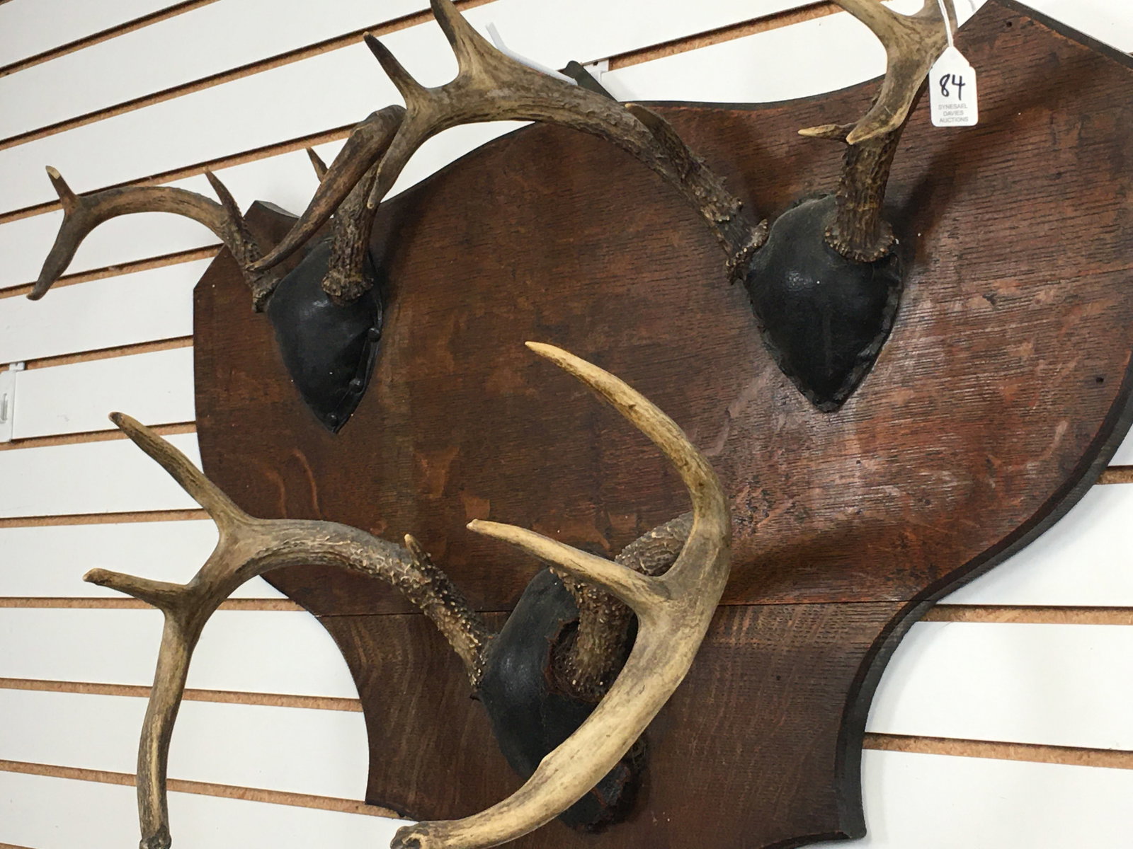 Deer Antler Mount Hat Rack - 3