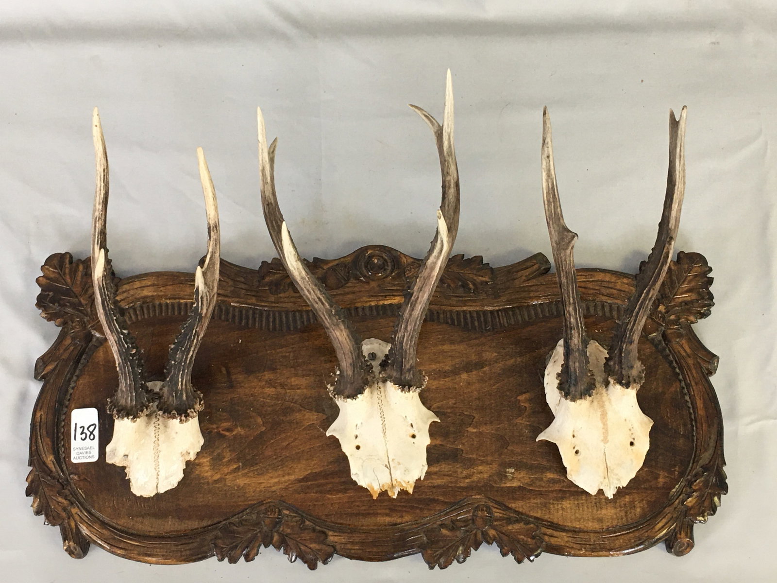 Roe Deer Antler Mounts: Roe Deer Antler Mounts. Three trophy mounts on carved plaque with oak leaves & acorns. One antler chipped off. 20"W x 13"H