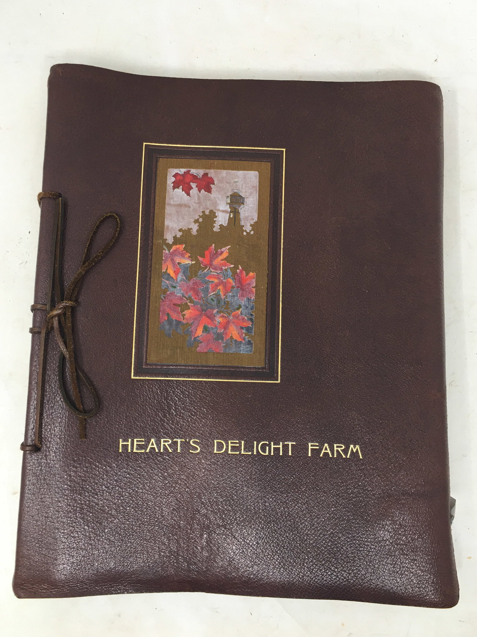 Heart's Delight Farm, Leather Bound, 1909 (1 of 7)