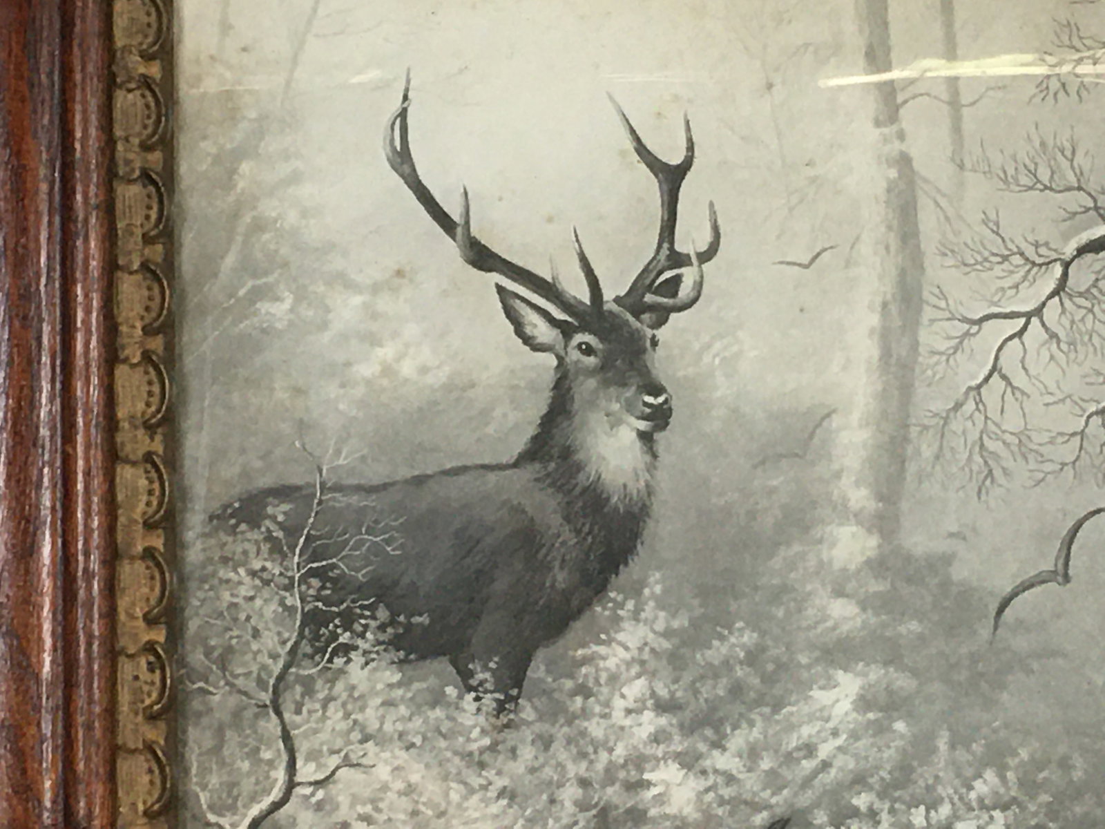 Stag & Crows Print - 3