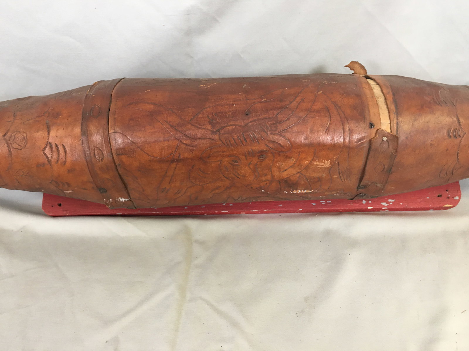 Mounted Steer Horns - 2