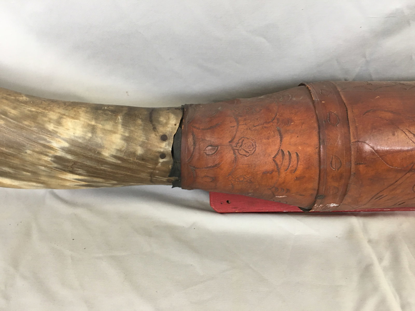 Mounted Steer Horns - 3