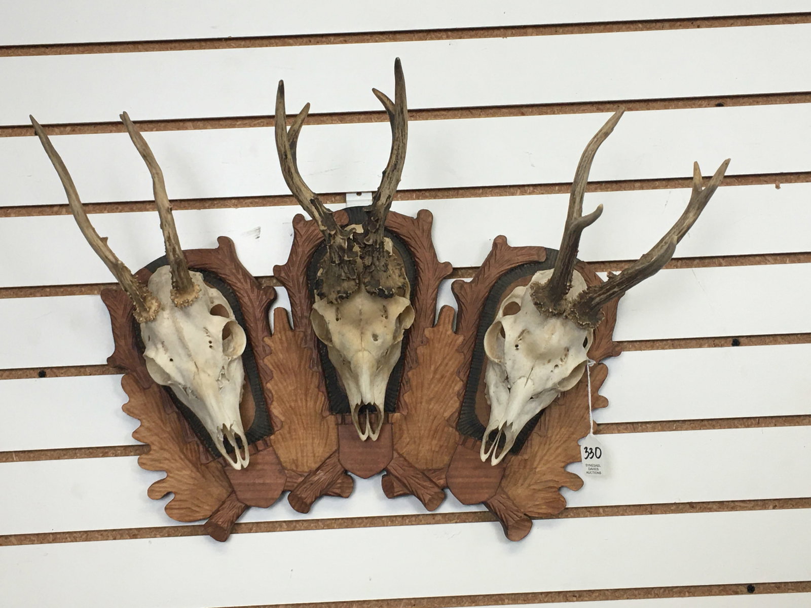 Roe Deer Skull Mounts (1 of 3)