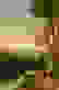 item-629765=2