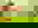 item-629777=2