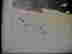 item-57207395=5
