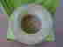 item-131267730=5