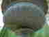 item-131267730=8